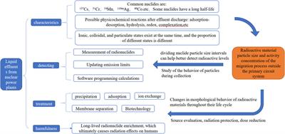 Study on the actual particle size, activity concentration, and migration process adsorption behavior of radioactive substances in liquid effluents from nuclear power plants